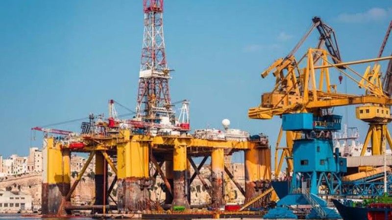 Petroleum Economics