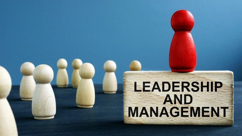 Leadership & Management
